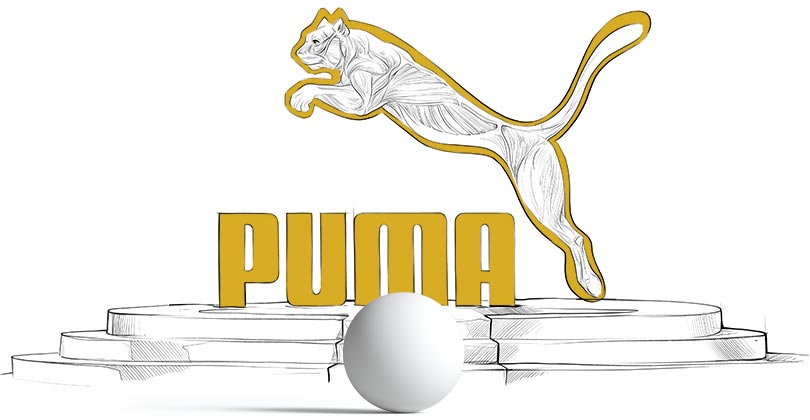 Analiza logo Pumy