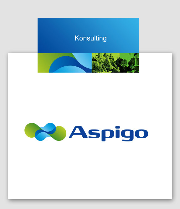 Projektowanie logo firmy na profesjonalnym przygotowaniu dla Aspigo